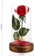 Valentines Day Gifts for Her,Beauty and the Beast Rose in Glass Dome,Lasts Forever Red Rose with LED Lights,Gifts for Women,Mom,Wife,Anniversary,Birthday, Wedding Home Decor